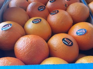 DIRECTAMENTE DEL FABRICANTE Naranjas griegas grado 1, precio 0,90