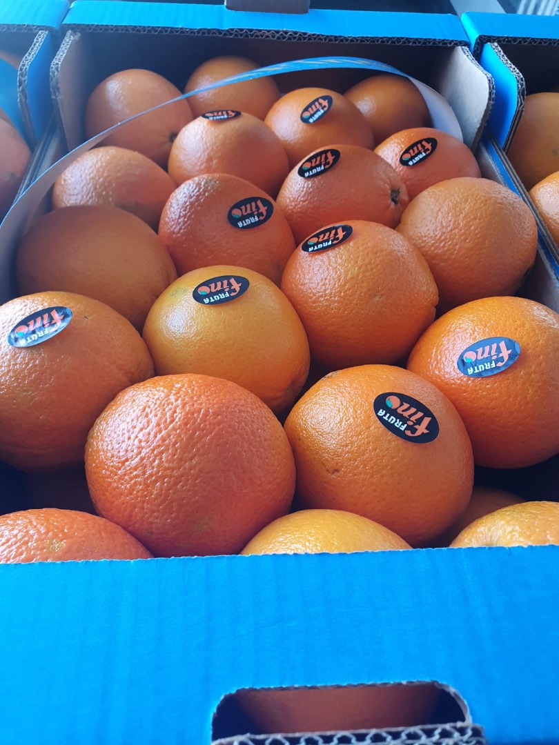 DIRECTAMENTE DEL FABRICANTE Naranjas griegas grado 1, precio 0,90 euros/kg Naranjas griegas grado 2 precio 0,80 euros/kg Naranjas griegas variedad Valencia