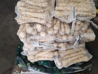 Hola, les ofrezco verduras REMOLACHA PATATA COL APIO PEREJIL
