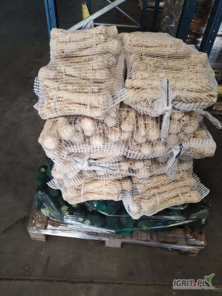 Hola, les ofrezco verduras REMOLACHA PATATA COL APIO PEREJIL ZANAHORIA CEBOLLA Nabo negro Rábano picante Bilis Nabo una gran selección de envases tenemos