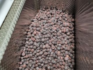 IQF Arándano Clase A embalaje 20 bolsas precio 3,2€