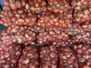 Cebolla rumana envasada en bolsas de 10 KG
