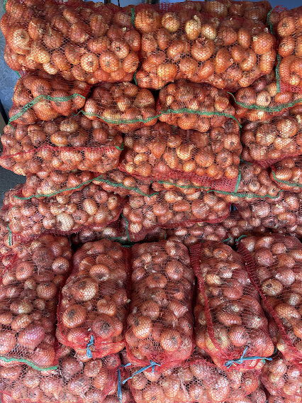 Cebolla rumana envasada en bolsas de 10 KG