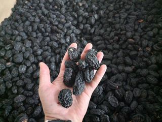 Aquí está el anuncio de venta de ciruelas pasas,