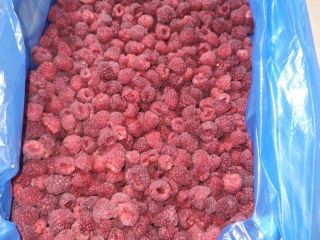 Venta de frambuesas congeladas. Origen: Ucrania. Precio: 1,90 €/kg
