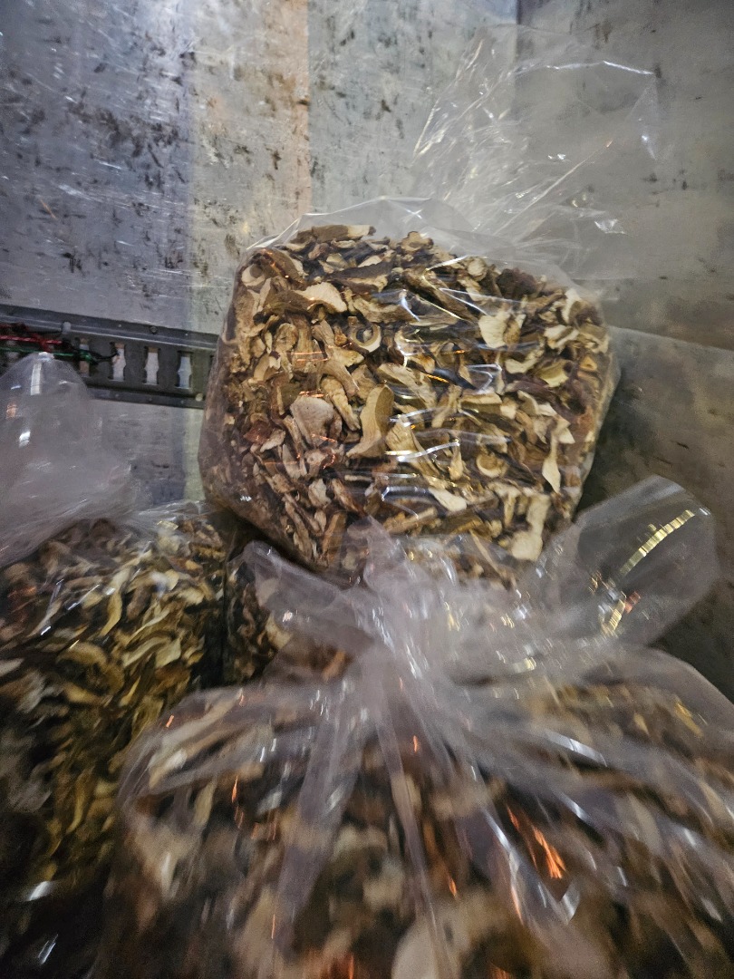 Vendo boletus secos y cabezas de boletus secos