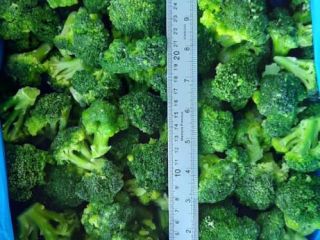 Brócoli congelado IQF de buena calidad con buenos precios