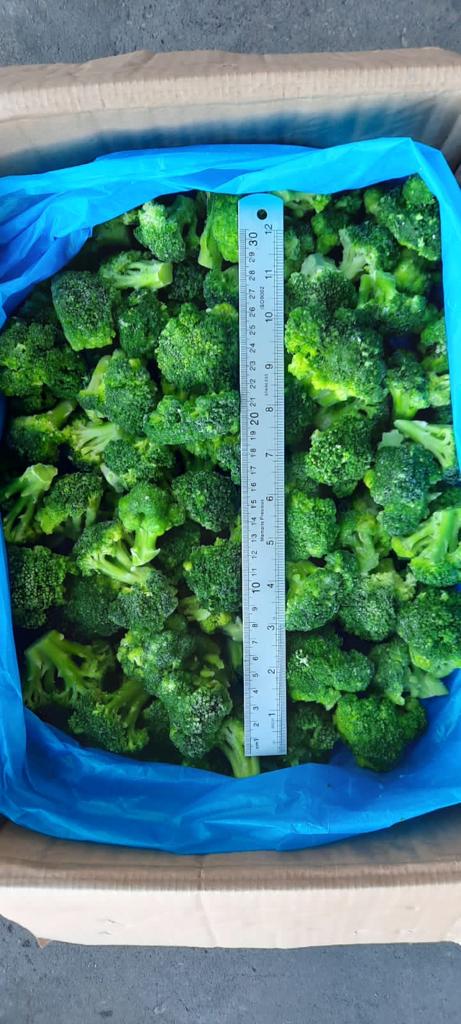 Brócoli congelado IQF de buena calidad con buenos precios origen de Egipto 676 $ por tonelada para calibrado 40-60