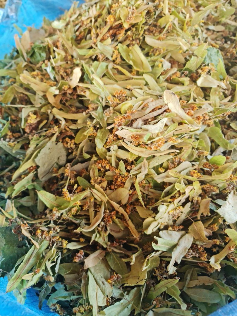 Vendo Flor de Tilo con certificado BIO, Rosa Mosqueta seca Rosa Cannina - certificado BIO y muchas otras hierbas