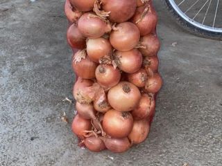 Busco comprador para cebollas. Cebollas de Kazajstán. Precio, tamaño