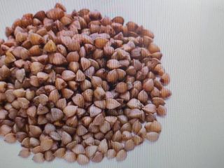 Nuestra empresa se dedica a la agricultura ecológica. Los