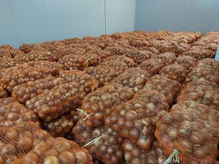 Cebolla Amarilla 50+ Origen Rumania Entrega en todos los