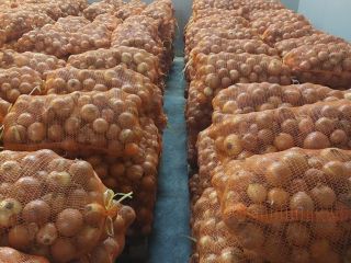 Cebolla amarilla 50+ bolsa 10kg/20kg almacén en Barcelona/España y