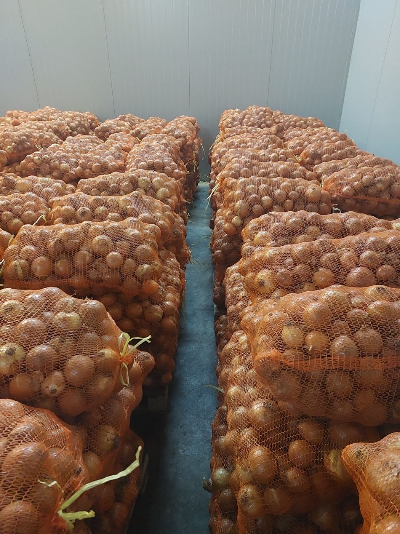 Cebolla amarilla 50+ bolsa 10kg/20kg almacén en Barcelona/España y Bucarest/Rumanía