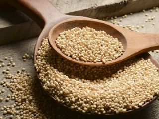 Tenemos sorgo a la venta a un precio competitivo.