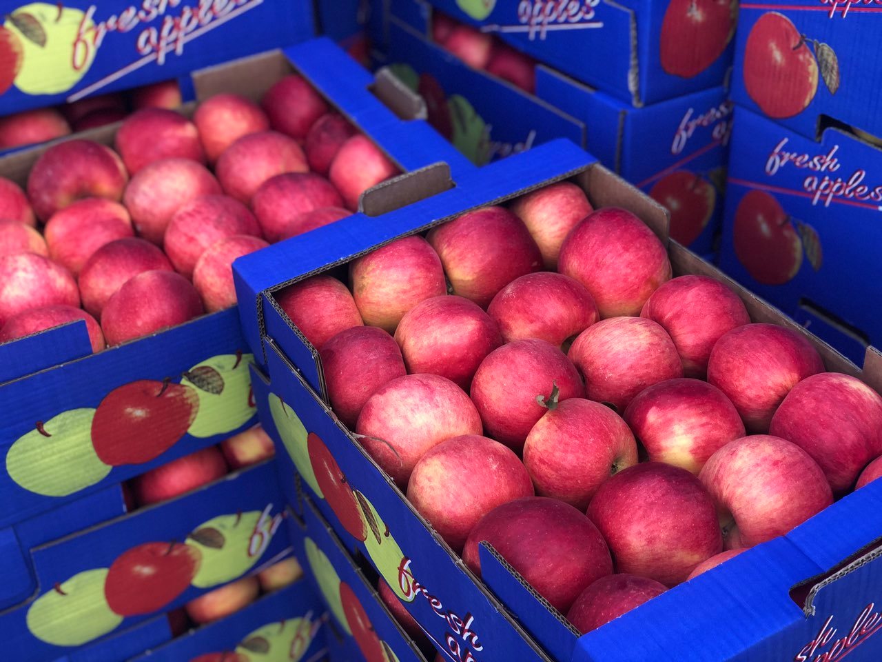 Ventas de Apple Tenemos nuestra propia y nueva base de almacén ULO (Ultra Low Oxygen)