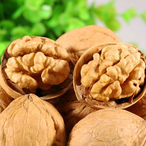 Venta de nueces variedad Chandler al por mayor