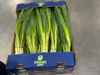 Venta de cebolletas frescas. 0,48 € / paquete. 20