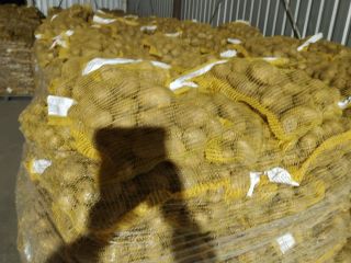 HOLA...VENDER PATATAS EN CANTIDADES DE CAMIONES CALIBRE A CONVENIR.