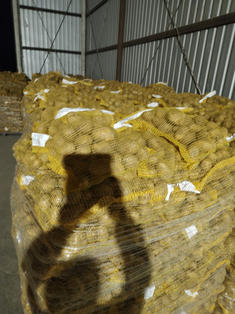 HOLA...VENDER PATATAS EN CANTIDADES DE CAMIONES CALIBRE A CONVENIR