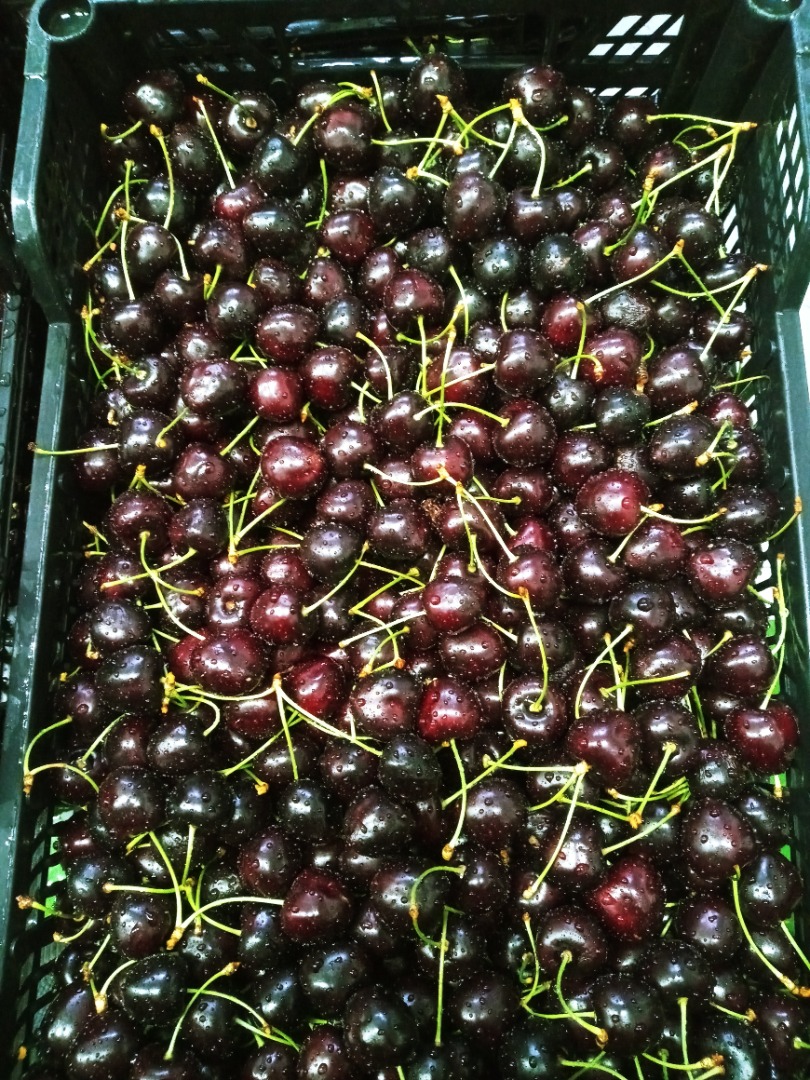 Cerezas con tallo
