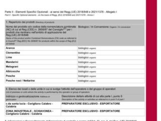 ZB SRL CLEMENTINA CALIBRE 1 IGP (indicación geográfica protegida)