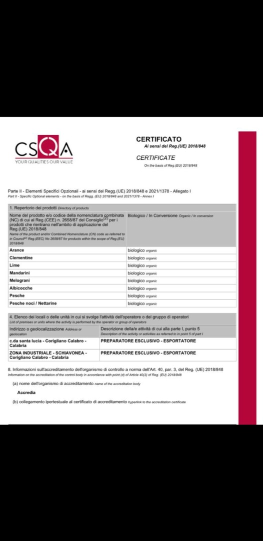 ZB SRL CLEMENTINA CALIBRE 1 IGP (indicación geográfica protegida) Diámetro 66_76 mm No tienen semilla Transporte gratuito Italia _ Rumania A partir del día de
