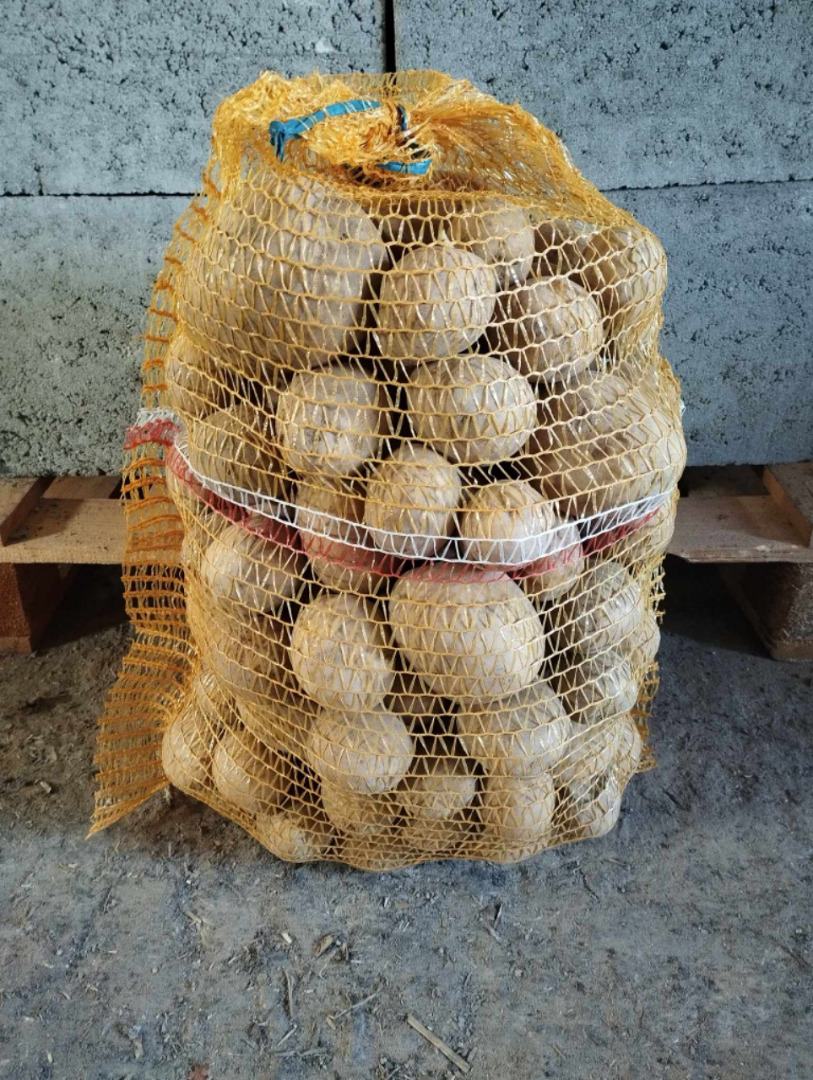 Reina Ana, Gala, Patatas Lilly