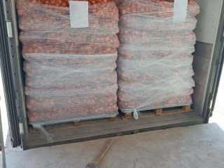 Vendo cebollas amarillas y rojas, importadas de Uzbekistán. Clase