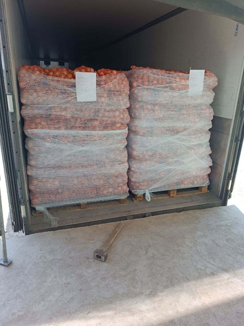 Vendo cebollas amarillas y rojas, importadas de Uzbekistán
