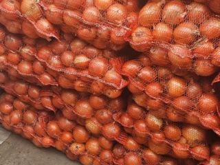 cebollas de alta calidad en grandes cantidades +[teléfono] viber