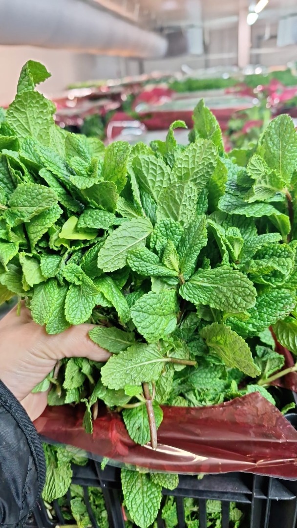 Estimado señor o señora, Somos una empresa de plantas aromáticas frescas