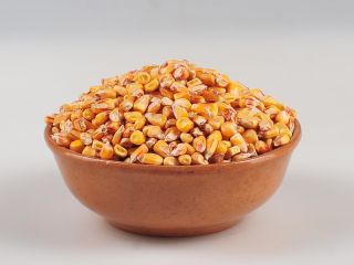 "GRUPO AGROVEST" Sp. z o. z o. o. ofrece