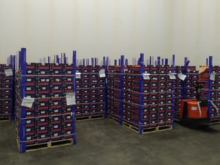 Venderé 24 paletas de mandarinas, variedad Clemenules. País de