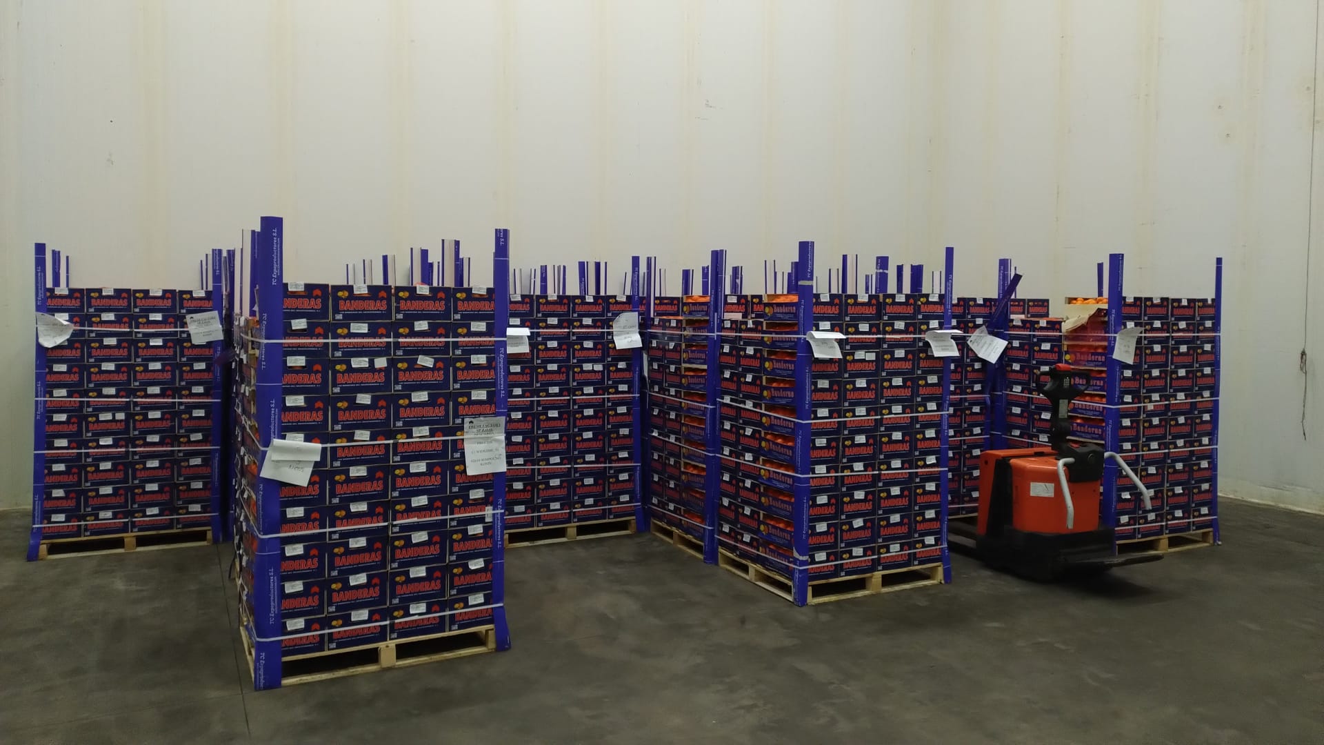 Venderé 24 paletas de mandarinas, variedad Clemenules