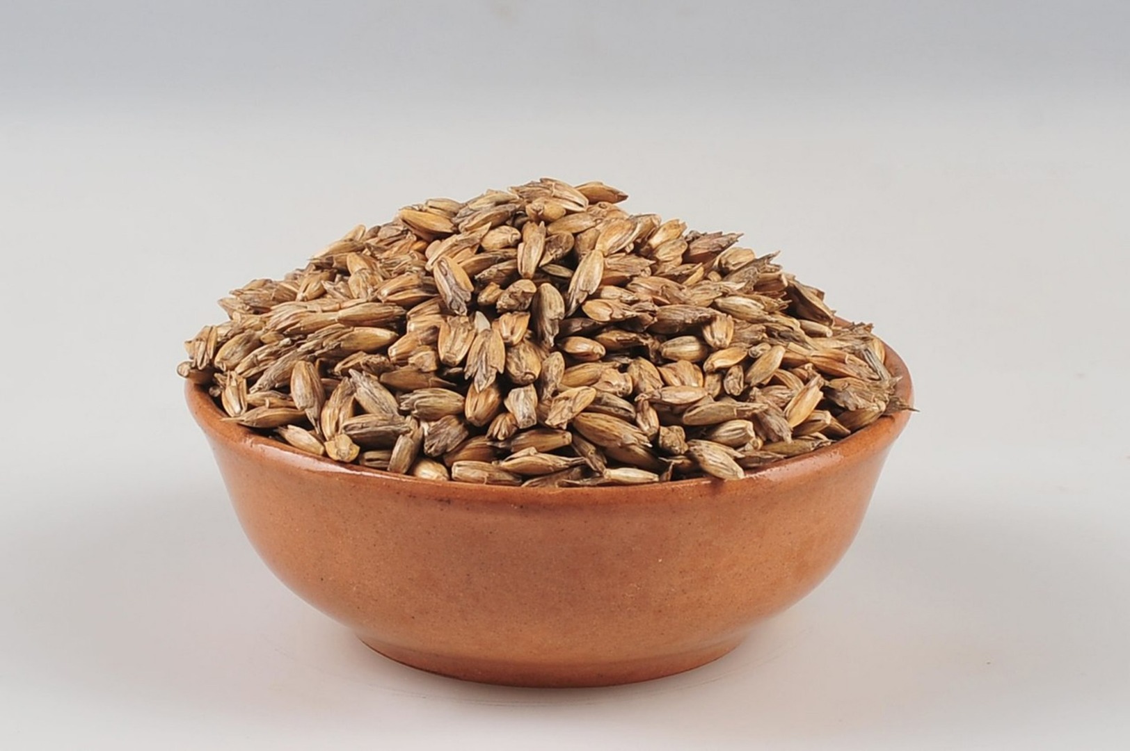 "AGROVEST GROUP" LLC vende productos orgánicos: girasol, soja, espelta, maíz