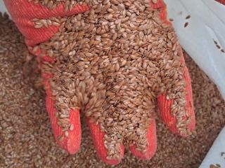 Preguntamos por nuestros productos agrícolas: linaza y muchos otros