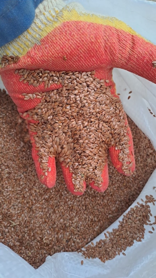 Preguntamos por nuestros productos agrícolas: linaza y muchos otros productos cereales