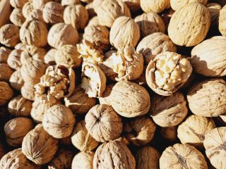 Actualmente estamos comercializando 70 toneladas métricas de nueces Fernor