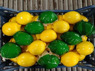 VERDURAS Y FRUTAS frescas y de alta calidad procedentes