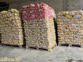 Disponemos de 125 toneladas de patatas amarillas alemanas en