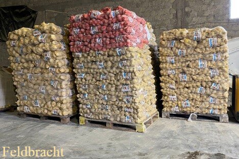Disponemos de 125 toneladas de patatas amarillas alemanas en stock, envasadas en redes de 10 kg