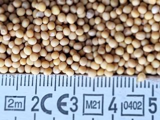 AGROTIDA fue fundada en 1994 y gestiona tierras agrícolas