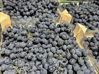 Deléitese con el rico sabor de las uvas de