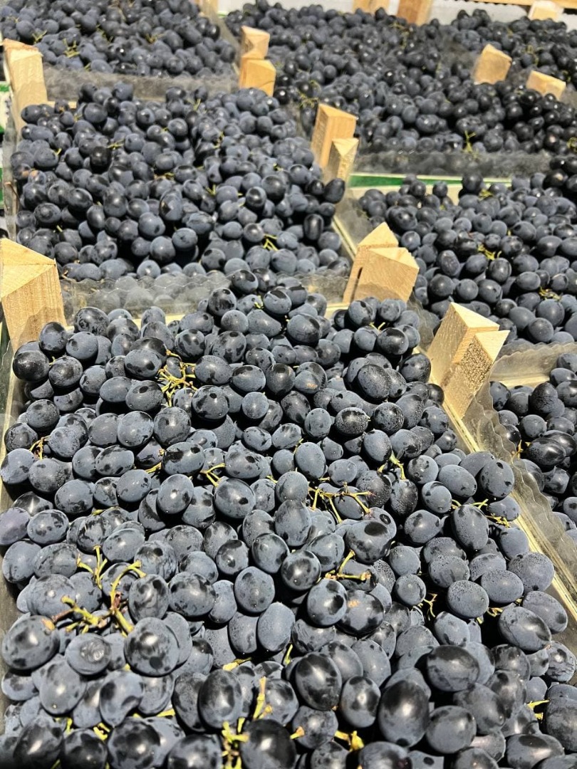 Deléitese con el rico sabor de las uvas de Moldavia, ¡ahora disponibles al por mayor! Nuestros viñedos ofrecen la mejor selección de variedades de Moldavia