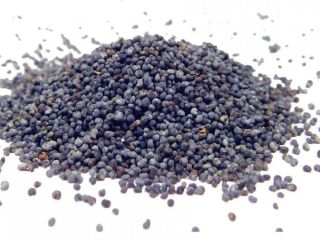 CZ: Busco amapolas azules, entregas regulares en camiones a