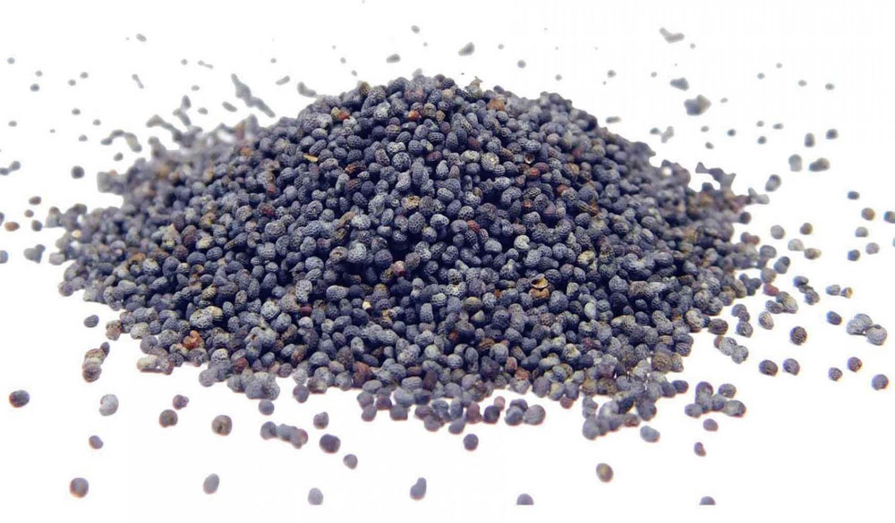 CZ: Busco amapolas azules, entregas regulares en camiones a Polonia