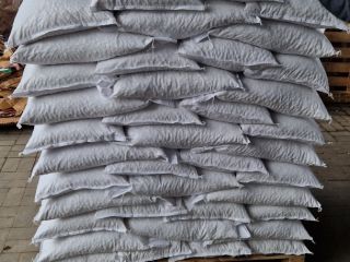 Frijoles disponibles toda la temporada, 100/130 -100 gramos Envasados
