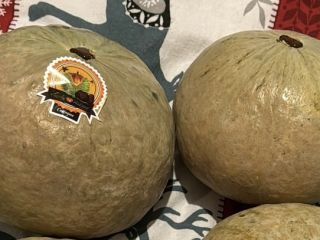 Vendo 2 calabazas vanity marca muy azucaradas edición castaña