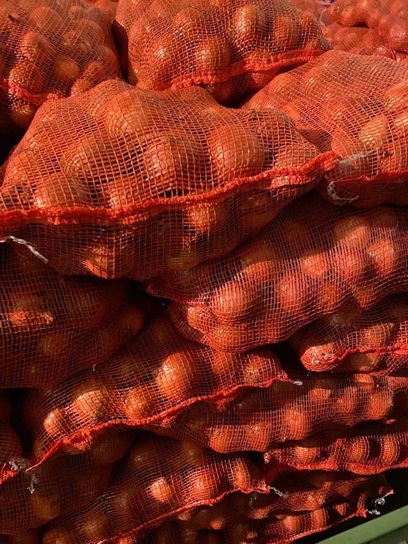 Venta de cebolla roja de Hungría